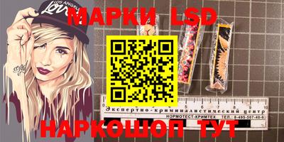 МДПВ Дубна