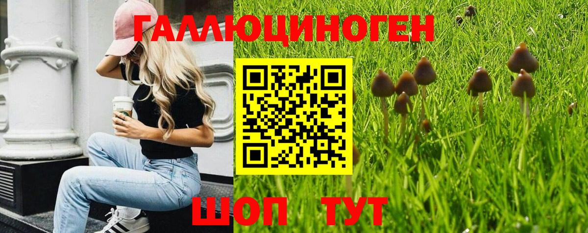 Псилоцибиновые грибы MAGIC MUSHROOMS Луховицы